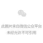 肇庆雕刻工艺后继有人|媒体热点资讯-肇庆市鼎湖华夏文化传播有限公司